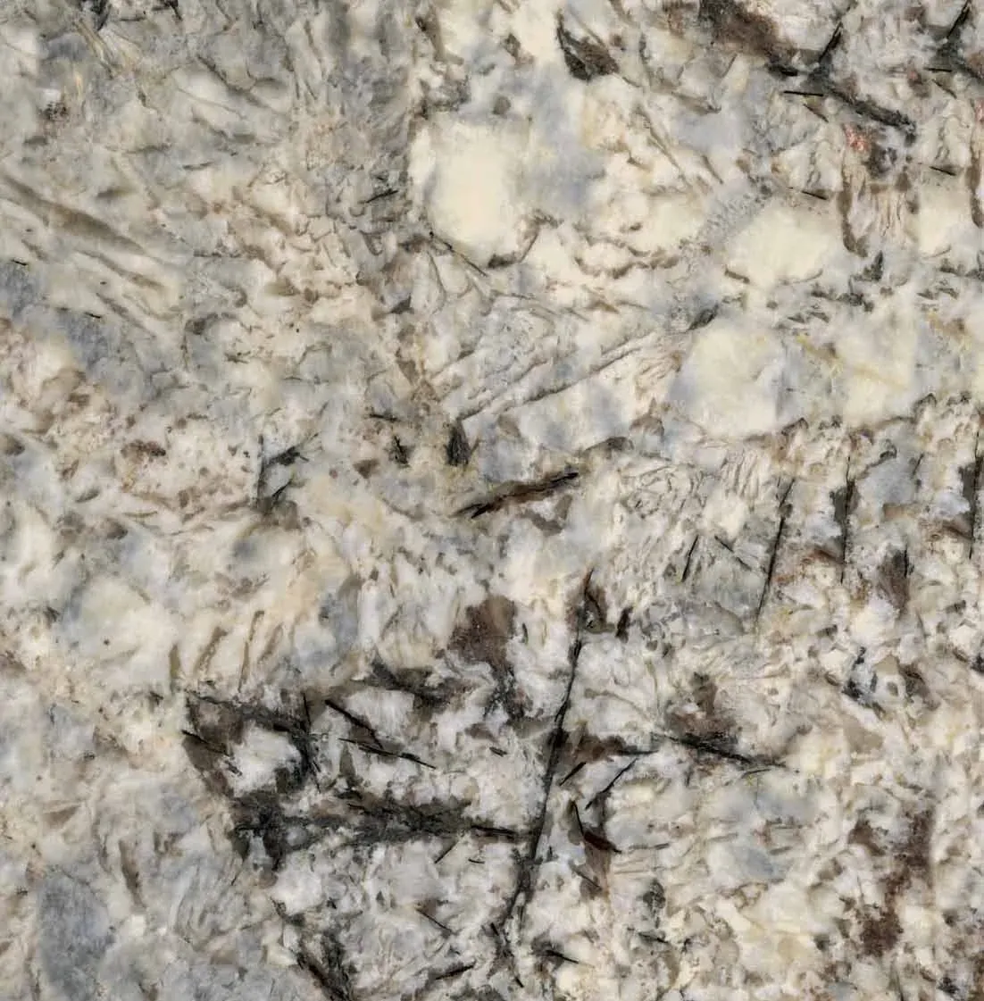 Levantina — Marbres et calcaires — vue 3 sur 6