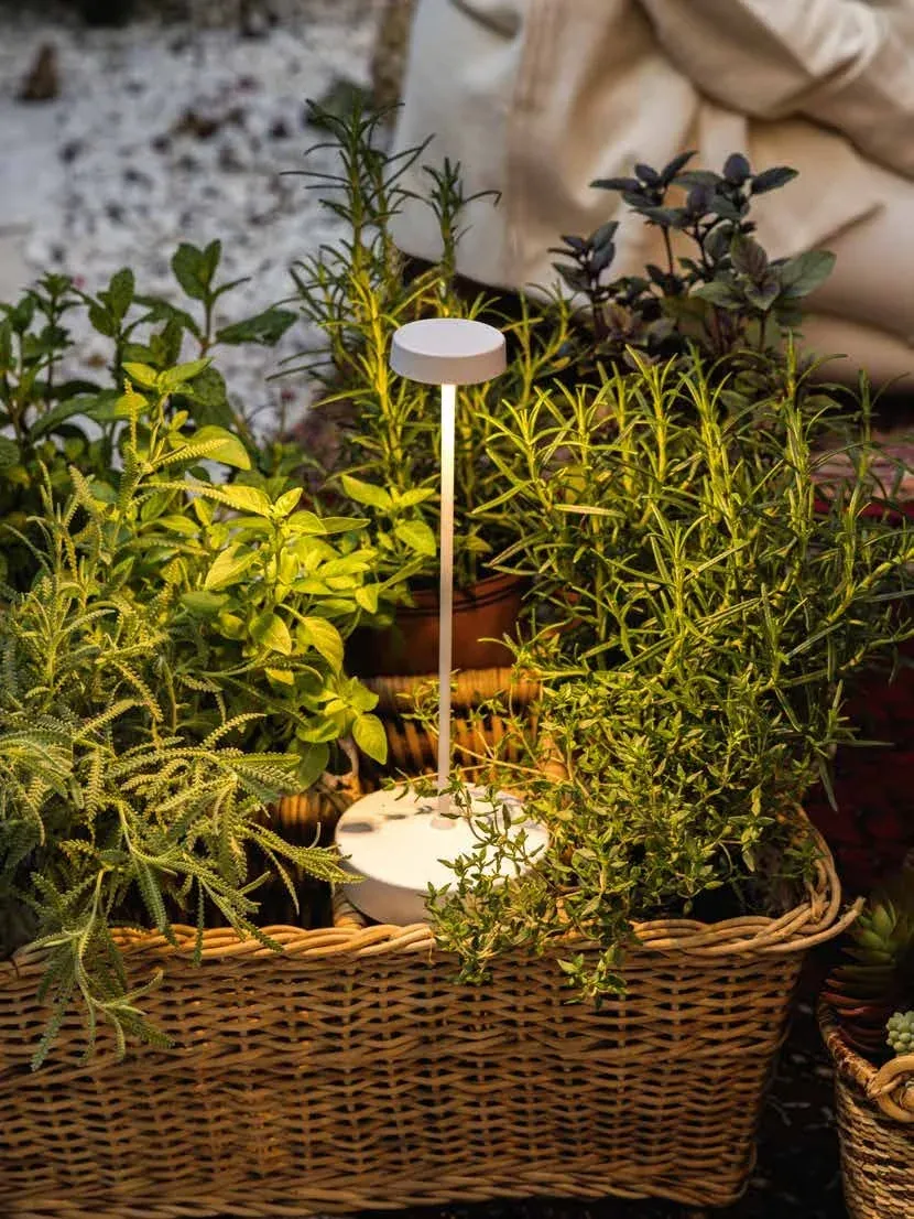 Zafferano — Lampes nomades rechargeables — vue 1 sur 5